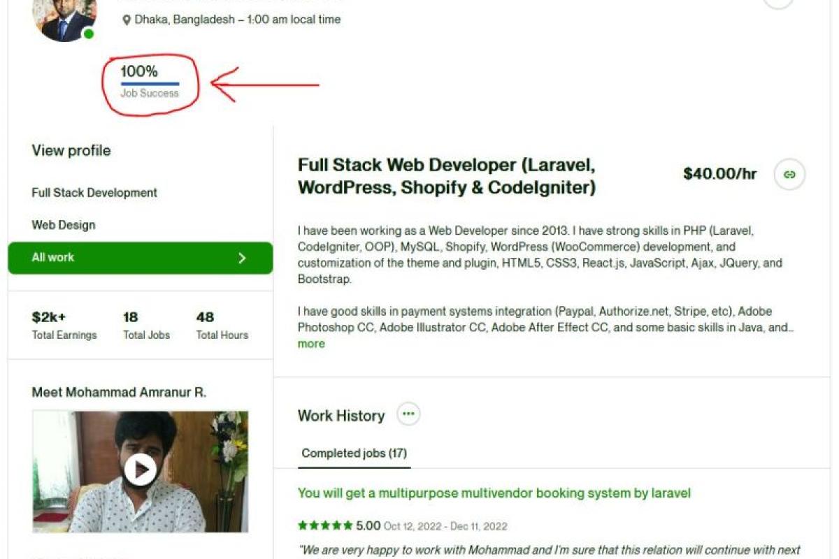 100% Job Success on Upwork