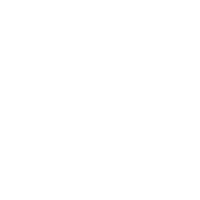 Web & App developer